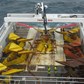 Offshore deck handling equipment