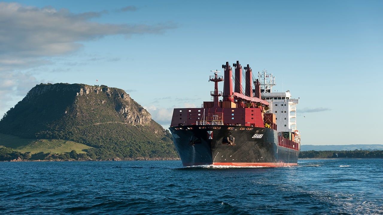 commercial shipping_General cargo / Multi-purpose vessels